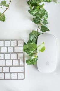 keyboard and mouse - coworking essentials